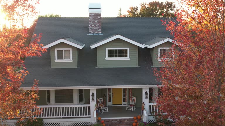 Best Roof Moss and Algae Removal  in Ly Lake, IL