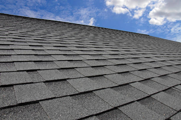Best Slate Roofing  in Ly Lake, IL